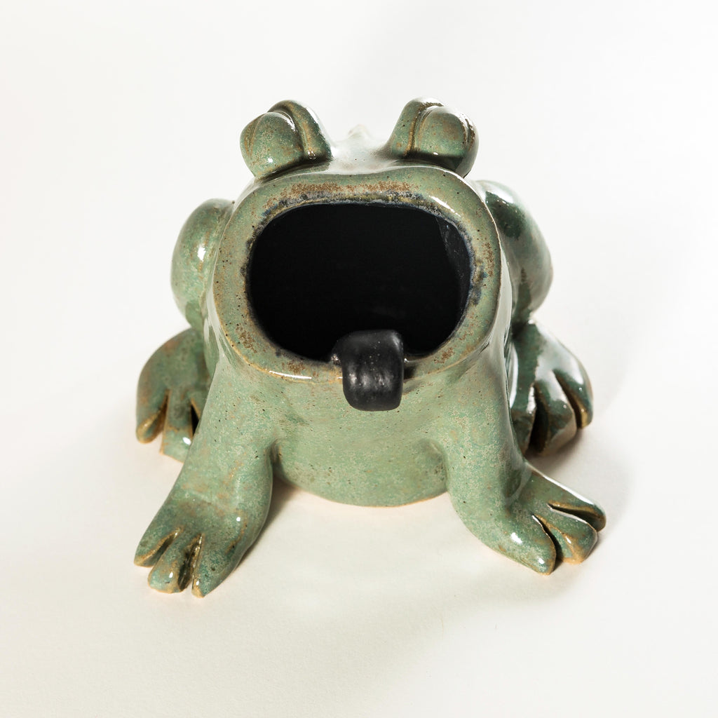 Grenouille porte-crayon