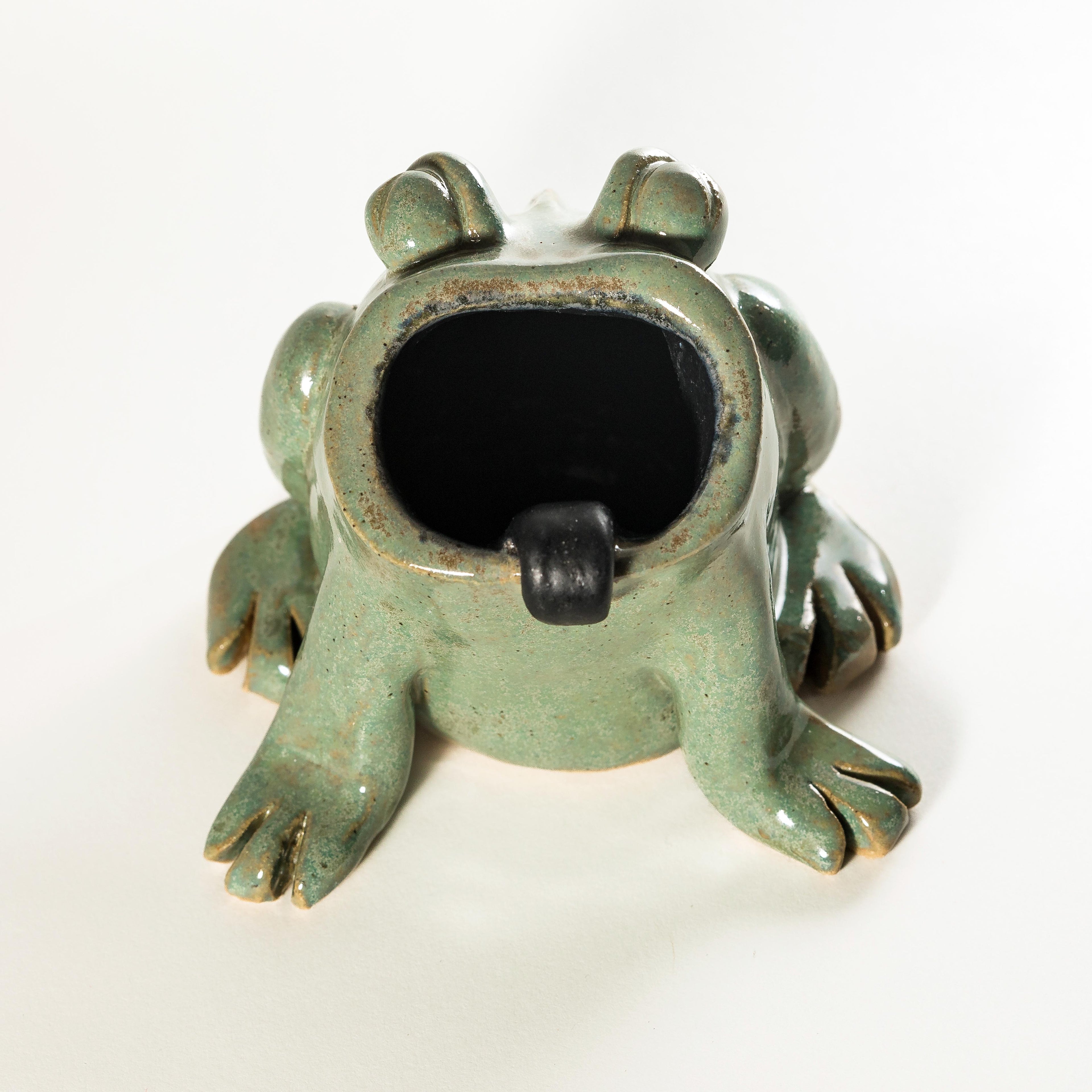 Grenouille porte-crayon